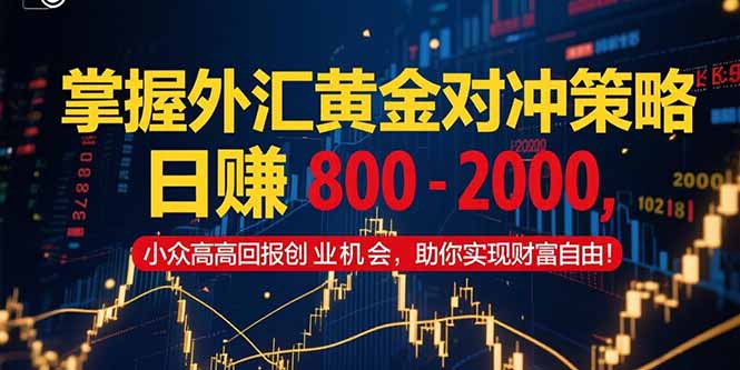 掌握外汇黄金对冲策略，日赚 800 – 2000，小众高回报创业机会，助你实…-优优云网创