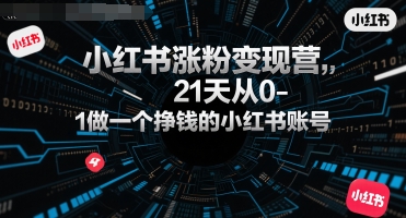 小红书涨粉变现营，21天从0-1做一个挣钱的小红书账号-优优云网创