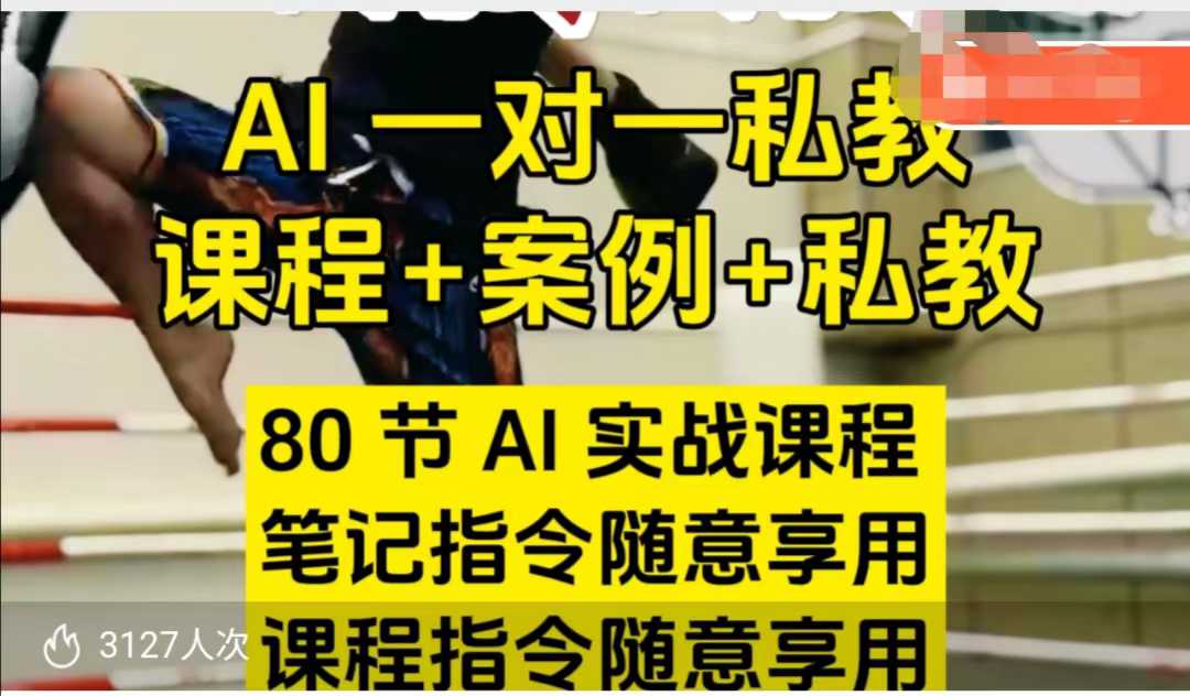 AI指令实战课，课程+案例，80节AI实战课程，笔记指令随意享用，课程指令随意享用(更新7月)-优优云网创